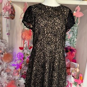Ann Taylor Loft black lace cocktail dress